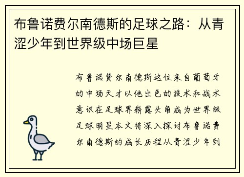 布鲁诺费尔南德斯的足球之路：从青涩少年到世界级中场巨星